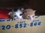 041908 132.jpg